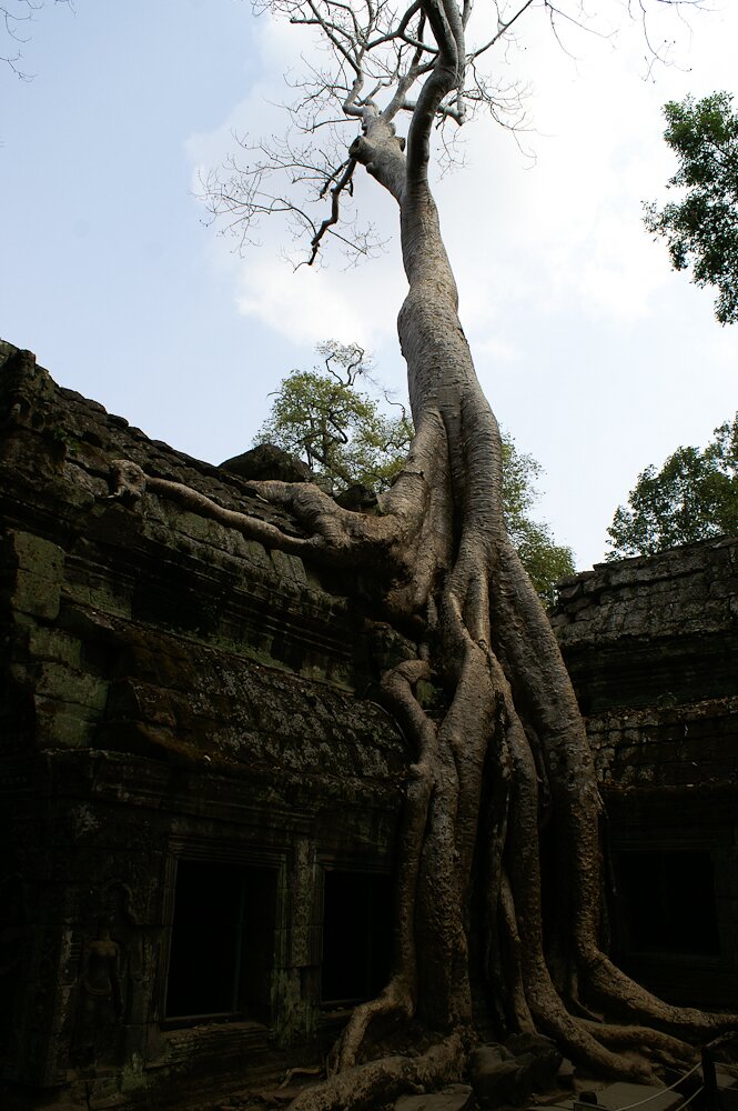 Cambodge