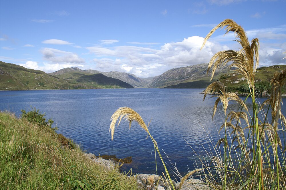 Ecosse