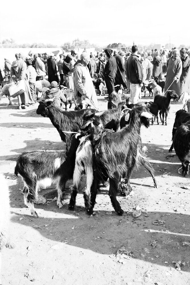 Maroc