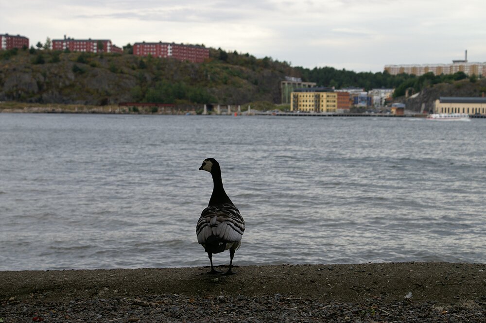 Stockholm