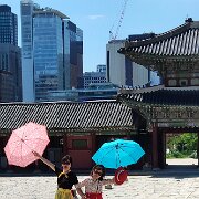 IMG_20220730_040224_1